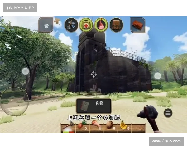 辐射岛:中文为中心的语言调整