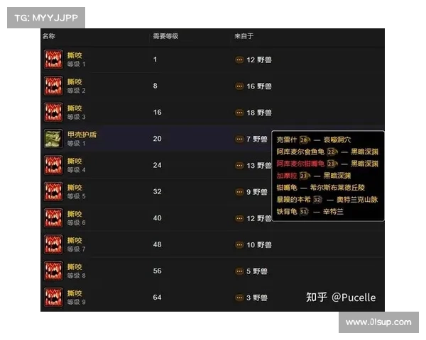 魔兽世界怀旧服猎人宝宝技能升级攻略